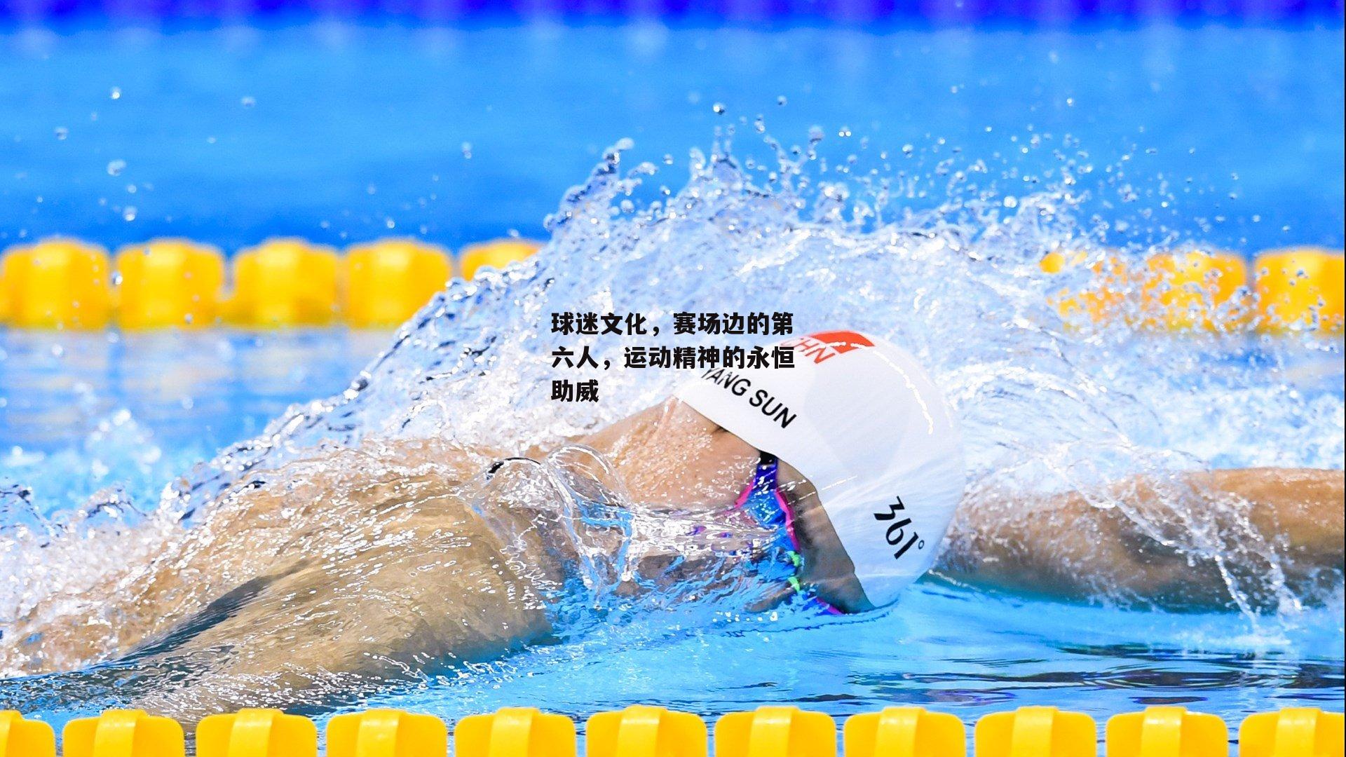 球迷文化，赛场边的第六人，运动精神的永恒助威